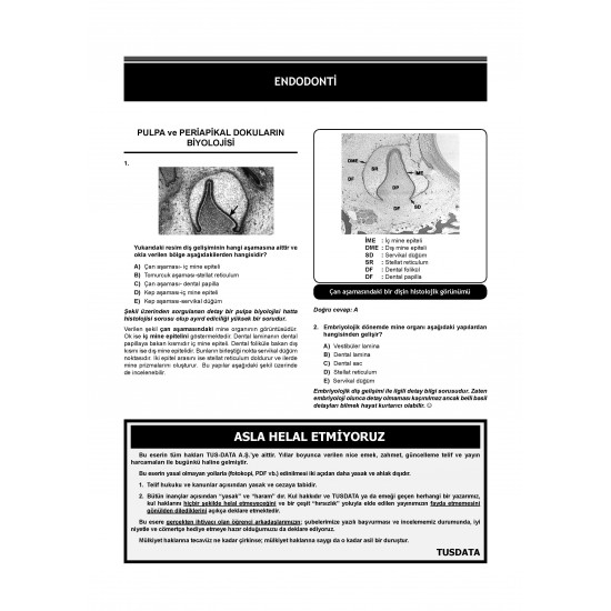 Dusdatamax Endodonti Soruları ( 5.Baskı )
